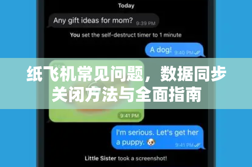纸飞机常见问题，数据同步关闭方法与全面指南