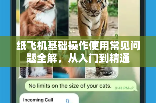 纸飞机基础操作使用常见问题全解，从入门到精通