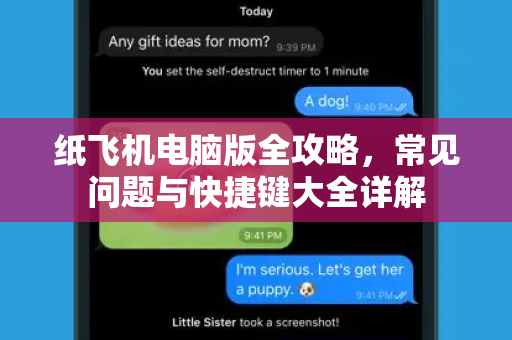 纸飞机电脑版全攻略，常见问题与快捷键大全详解