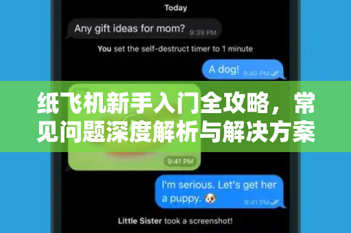 纸飞机新手入门全攻略，常见问题深度解析与解决方案