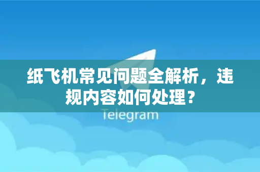 纸飞机常见问题全解析，违规内容如何处理？