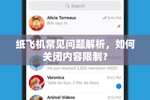 纸飞机常见问题解析，如何关闭内容限制？