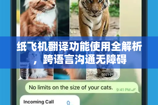 纸飞机翻译功能使用全解析，跨语言沟通无障碍