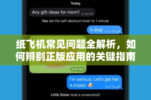 纸飞机常见问题全解析，如何辨别正版应用的关键指南