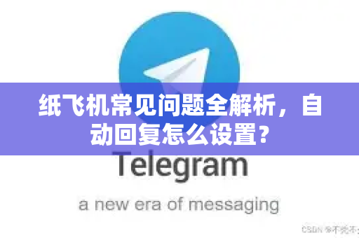 纸飞机常见问题全解析，自动回复怎么设置？