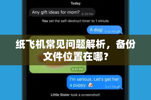 纸飞机常见问题解析，备份文件位置在哪？