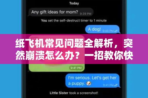 纸飞机常见问题全解析，突然崩溃怎么办？一招教你快速修复