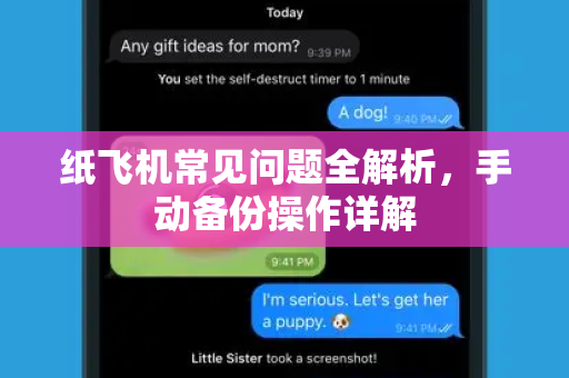 纸飞机常见问题全解析，手动备份操作详解