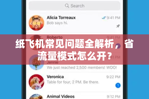 纸飞机常见问题全解析，省流量模式怎么开？-第1张图片-纸飞机最新官方 - telegram官网|TG中文下载
