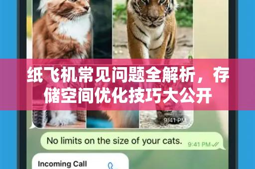 纸飞机常见问题全解析,存储空间优化技巧大公开-第1张图片-纸飞机最新官方 - telegram官网|TG中文下载 纸飞机常见问题全解析,存储空间优化技巧大公开-第1张图片-纸飞机最新官方 - telegram官网|TG中文下载