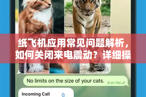 纸飞机应用常见问题解析，如何关闭来电震动？详细操作指南