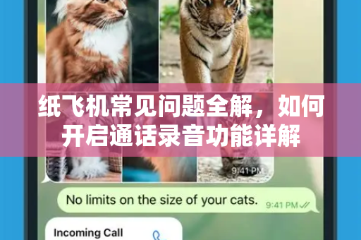 纸飞机常见问题全解,如何开启通话录音功能详解-第1张图片-纸飞机最新官方 - telegram官网|TG中文下载 纸飞机常见问题全解,如何开启通话录音功能详解-第1张图片-纸飞机最新官方 - telegram官网|TG中文下载
