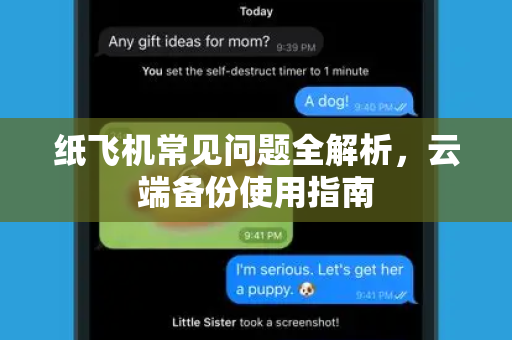 纸飞机常见问题全解析，云端备份使用指南