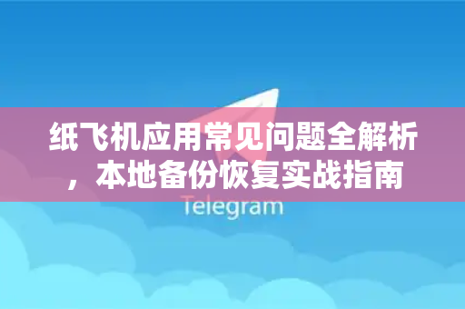 纸飞机应用常见问题全解析，本地备份恢复实战指南