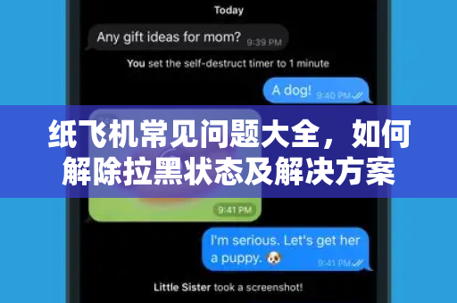 纸飞机常见问题大全，如何解除拉黑状态及解决方案