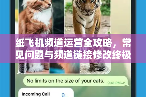 纸飞机频道运营全攻略，常见问题与频道链接修改终极指南