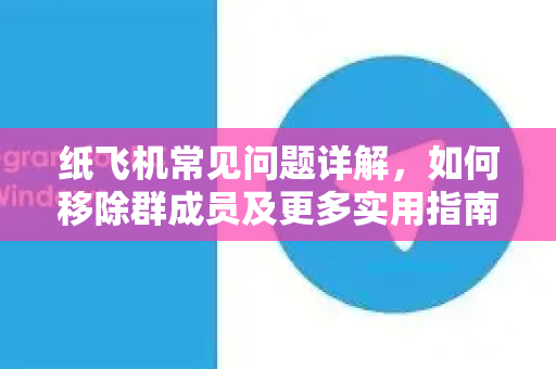 纸飞机常见问题详解，如何移除群成员及更多实用指南