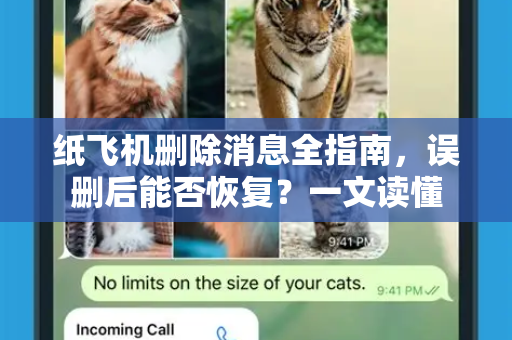 纸飞机删除消息全指南，误删后能否恢复？一文读懂