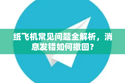 纸飞机常见问题全解析，消息发错如何撤回？