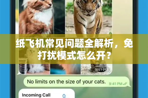 纸飞机常见问题全解析，免打扰模式怎么开？