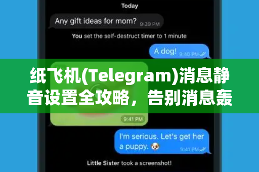 纸飞机(Telegram)消息静音设置全攻略，告别消息轰炸，享受静谧聊天