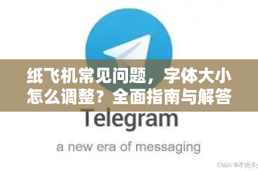 纸飞机常见问题，字体大小怎么调整？全面指南与解答