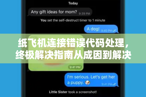 纸飞机连接错误代码处理，终极解决指南从成因到解决，一文读懂并修复您的即时通讯故障