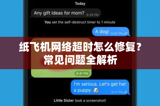 纸飞机网络超时怎么修复？常见问题全解析