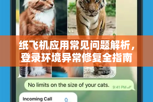 纸飞机应用常见问题解析，登录环境异常修复全指南