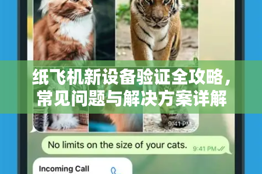 纸飞机新设备验证全攻略，常见问题与解决方案详解