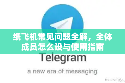 纸飞机常见问题全解，全体成员怎么设与使用指南