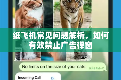 纸飞机常见问题解析，如何有效禁止广告弹窗