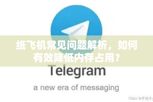 纸飞机常见问题解析，如何有效降低内存占用？
