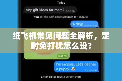 纸飞机常见问题全解析，定时免打扰怎么设？
