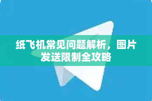 纸飞机常见问题解析，图片发送限制全攻略