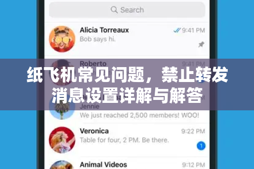 纸飞机常见问题，禁止转发消息设置详解与解答