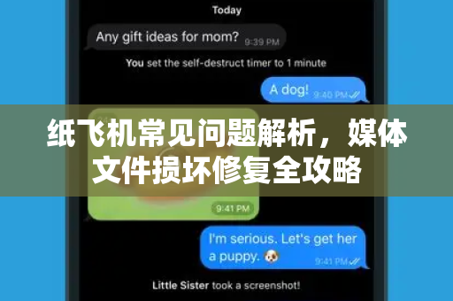 纸飞机常见问题解析，媒体文件损坏修复全攻略