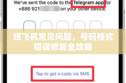 纸飞机常见问题，号码格式错误修复全攻略